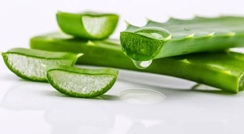 Aloe Vera Gel, 1 Gram