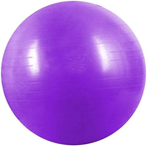 GYM YOGA SWISS 65CM BALL FITNESS AB ABDOMINAL SPORT WEIGHT LOSS PURPLEco5863