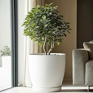Meridian Round Plastic Planter - 40cm Modern Planter Pot for Indoor Outdoor Plants, Durable Lightweight Planter for Home Office Decor with Drainage Saucer - White