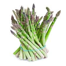 Asparagus Seedlings Ultra Rare - Wild Aspergus or Table Aspergus - Herb with Multiple Benefits