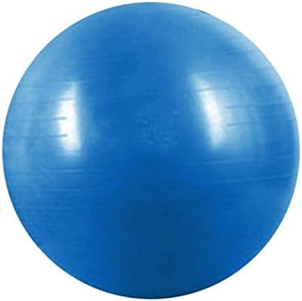 GYM YOGA SWISS 65CM BALL FITNESS ABDOMINAL SPORT WEIGHT LOSS BLUE