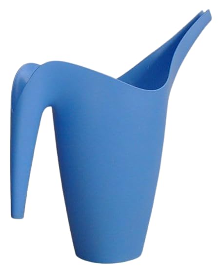Indoor Long Nozzle Watering Vapor, Small Watering Vapor for Plants, Small for Houseplants, Flowers, Succulents, Spout Watering