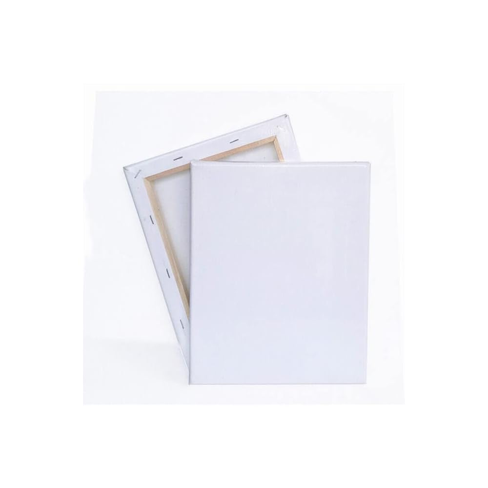 Taimi Blank Cotton Pre-Stretched Canvas Board Creative Painting Panels Canvas Board Painting stretched cotton (25 * 30)