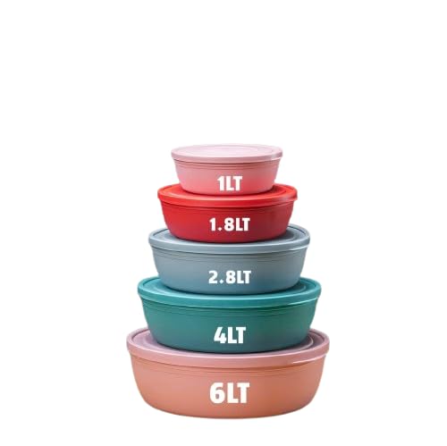 ELWATANIA PRIME FLAT BOWL SET 5 PIECES 1/1.8/2.8/4/6 LITER COLORED