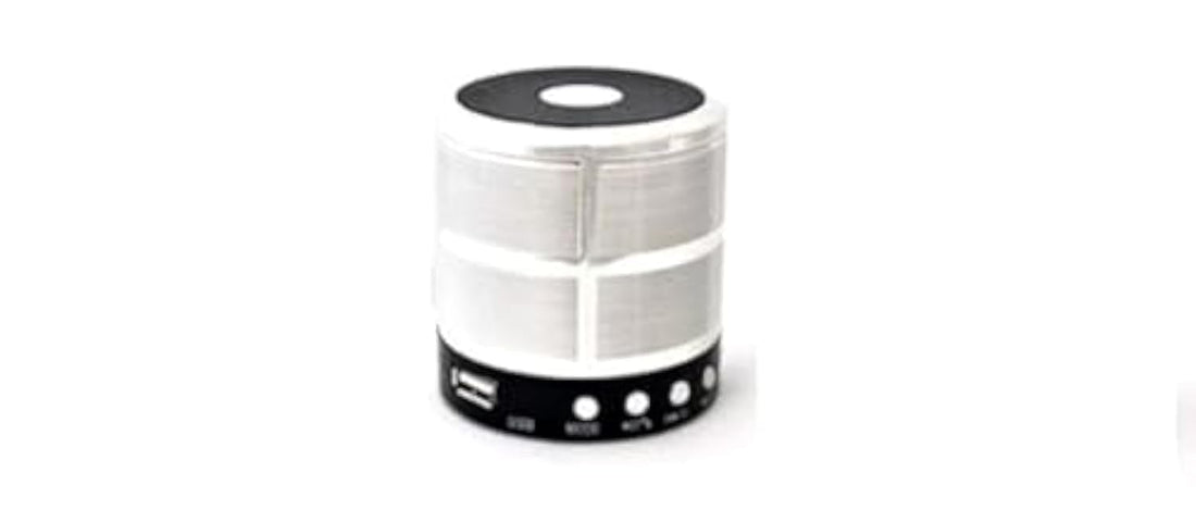 Mini Bluetooth Speaker WS-887 (Silver)
