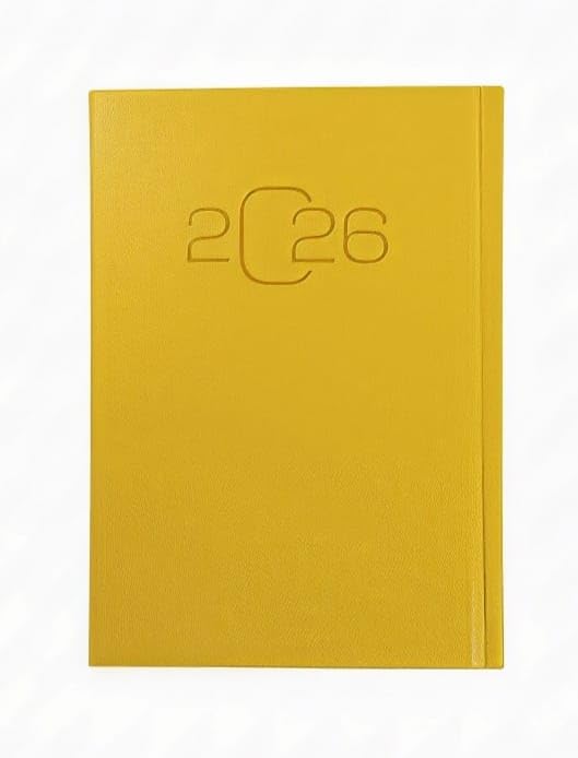 New Year Agenda 2026 – Appointment & Goal Planner – Perfect for Gifts Multicolor (Model 7)