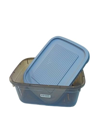 6L Single Refrigerator Box - Organize and Keep Food Safe MKS (Black)