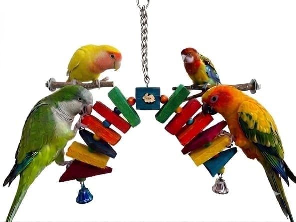 Parrot Colorful Swing Biting Toys Wooden Bird Climbing Toy with Bell For all breeds