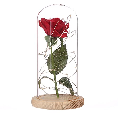 Novelty LED Beauty Rose and Beast Battery Powered Red Flower String Light Desk Lamp Romantic Valentine's Day Gift