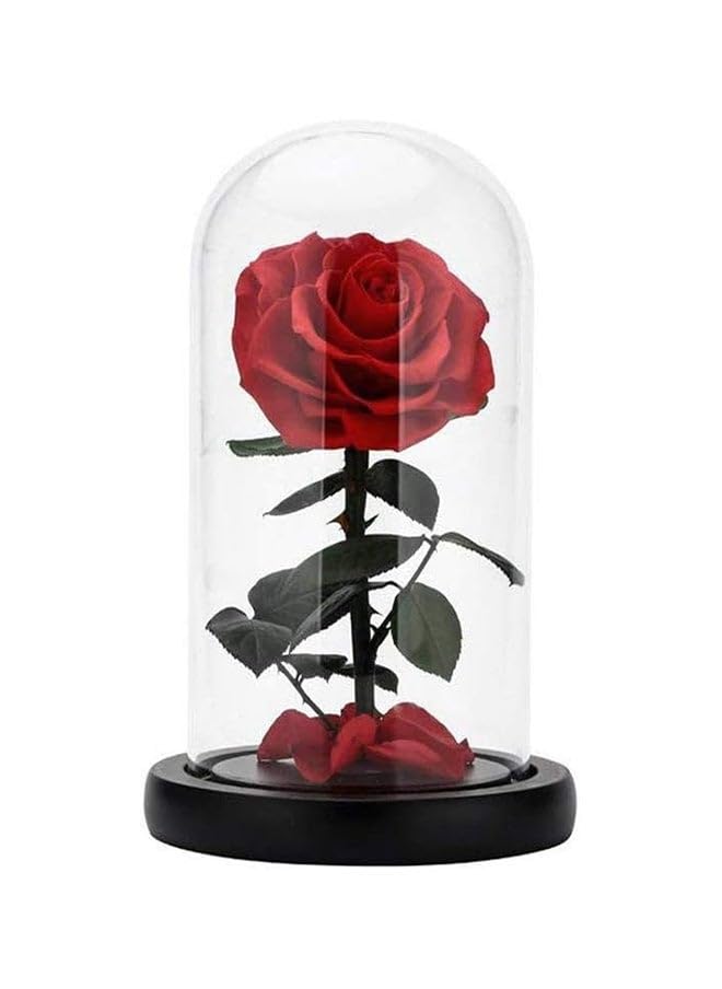 Beautiful Flower Dream Red Rose in Glass Dome