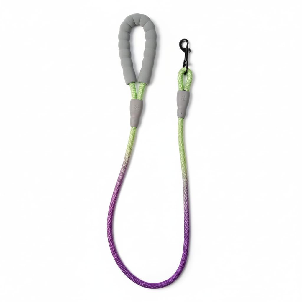 Soft Paded Leash Multi Color For walking Meduim & Large Dogs Mix Colors 125 CM (Purple & Green)