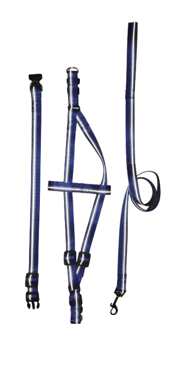 3-in-1 Kit Reflective Adjustable (Matching Leash, Collar, Harness) For Dogs (Royal Blue, Small and Meduim breed)