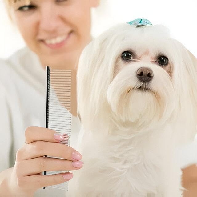 Stainless Steel Pet Comb - Powerful Grooming Tool for Cats and Dogs, Removes Loose Hair and Dirt, Enhances Comfort, Washable and Easy to Maintain, Essential Need for Pet Comfort