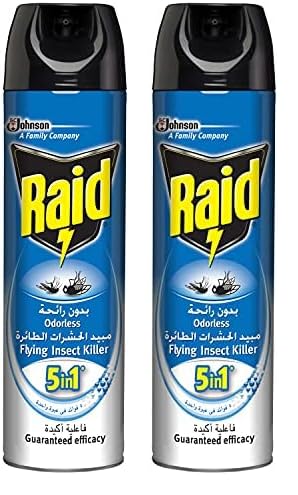Raid