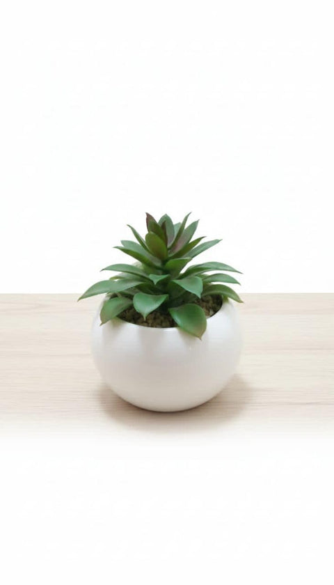 Artificial Succulent Plant in White Ceramic Pot, Modern Indoor Decorative Plant, Green and White, 12 x 12 x 13 cm, for Home and Office
