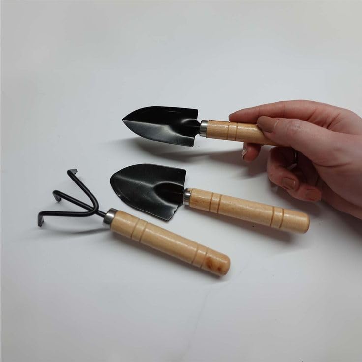 Miniature Garden Tool Set, 3 Pieces Garden Shovel and Picker with Wooden Handles for Home Farming