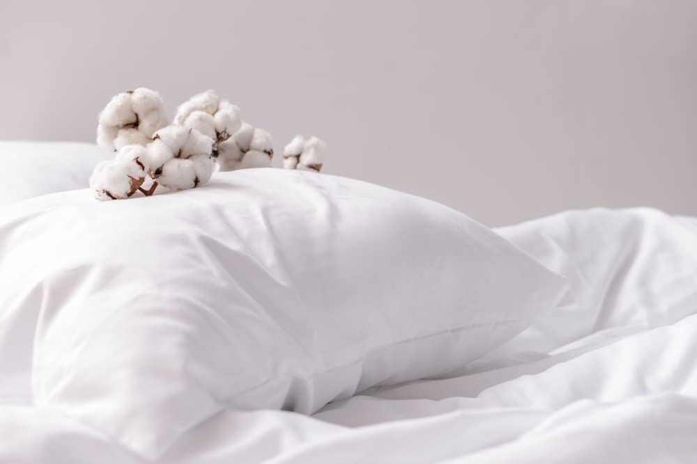 Bed N Home, Organic Cotton Pillow-White- 1000Gm