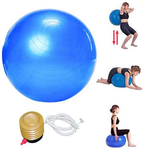 65cm Gym Exercise Swiss Fitness Pregnancy Birthing Injury Sciatica Yoga Ball - Blue