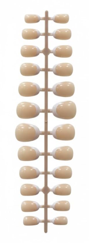 24Pcs FRENCH False Nails, Coffin Nail Tips Full Cover - Fake Nail Tips for Nail Extension Nail Art DIY Home, 10 Sizes (N4)