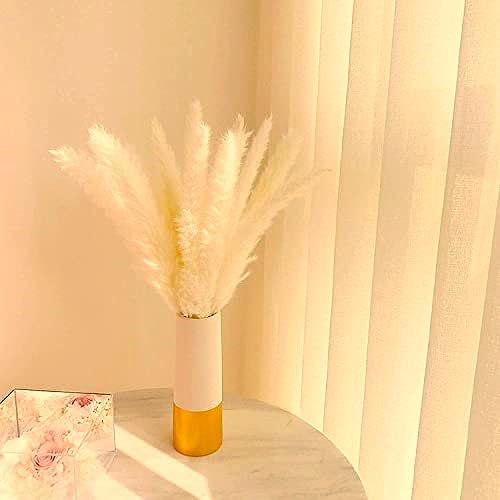 Dried Pampas Grass (5)