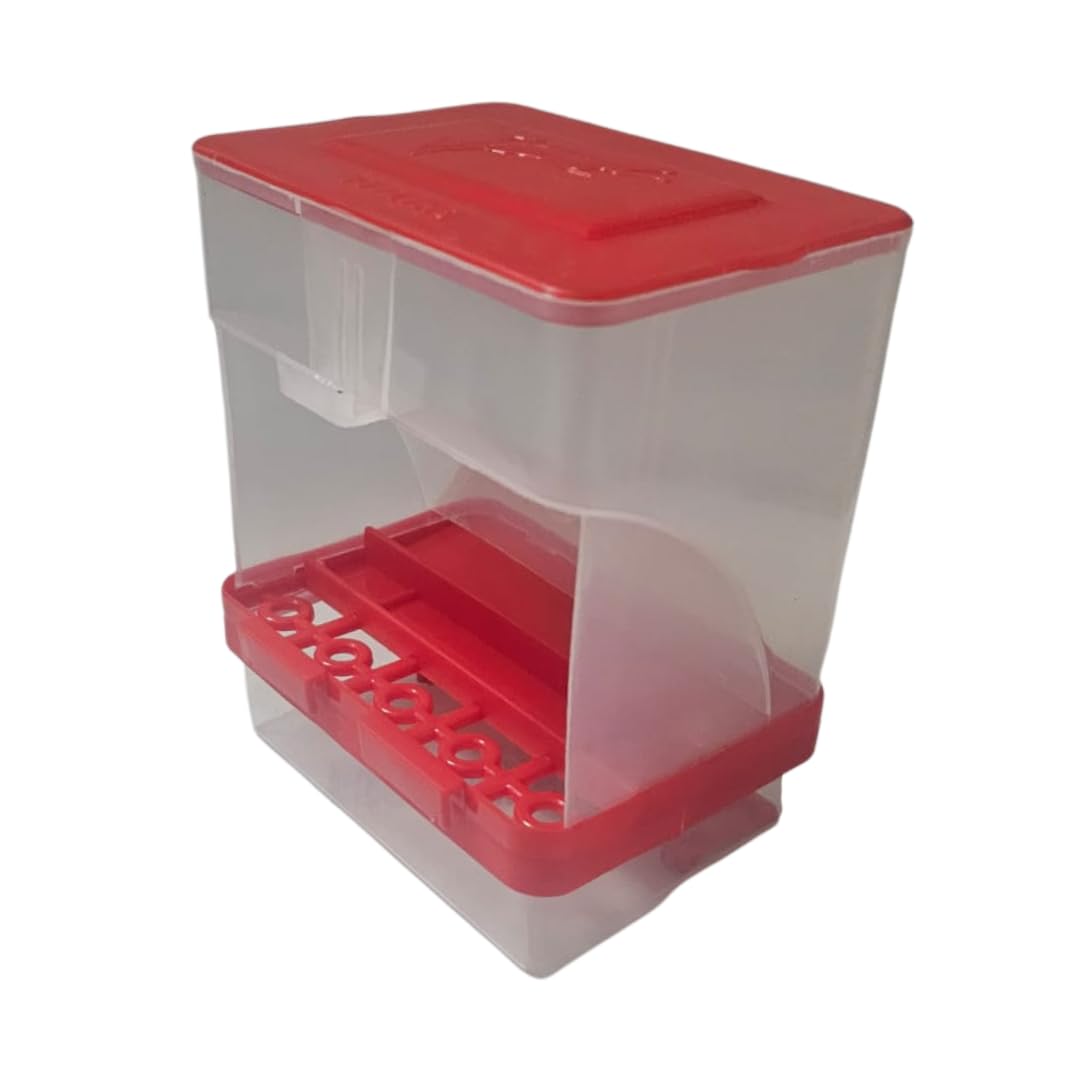 Bird Feeder with Transparent Container, Random color Plastic Base and Top, Indoor Outdoor