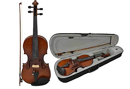 Bryce Full Size Student Violin and case by Sotendo