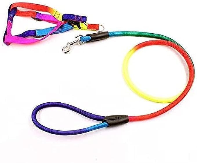 Dog Harness and Leash in Rainbow Size large