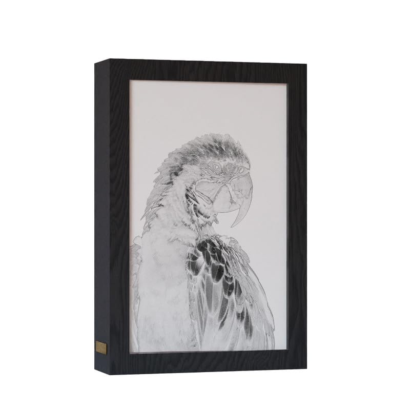ART MOOD HOME Natrual Wood 2 In 1 Photo Lighting Frame - Parrot 20Cm X 15Cm Black Frame