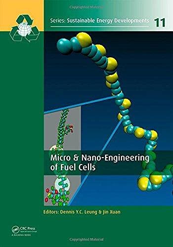 Micro & nano-Engineering of Fuel Cells (Sustainable Energy Developments)