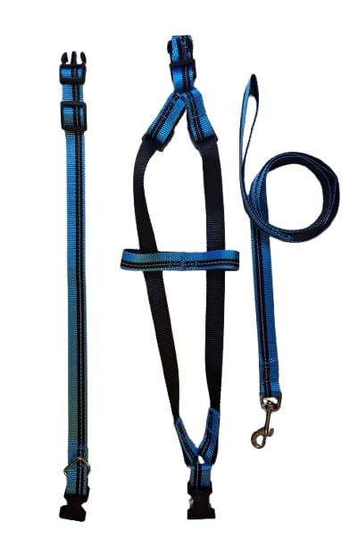 LumoPaw 3-in-1 Kit (Matching Leash, Collar, Harness) (Light Blue, Small Meduim Breed Small Meduim Size Breed)