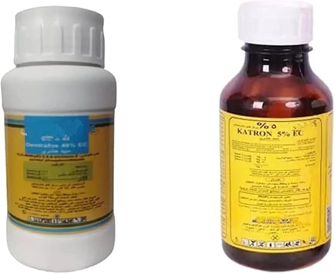Best Solution To Get Rid Of Bed Bugs Forever - Experience Is A Good Guide