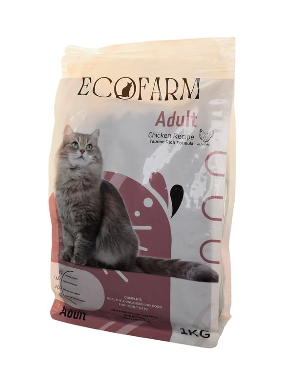 ADULT CAT 1KG