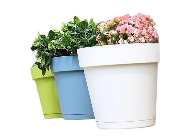17cm Wall Planter Pot for Vertical Flower Garden or Wall Garden.Plastic Wall Mounted Planter Pot with Flat Back Design and Connected Saucer, 4 Pieces, Yellow (Yellow)