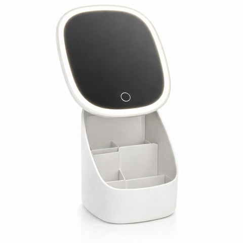 Makeup Mirror with LED Light and Cosmetic Storage Organizer Box, Desktop Pedestal Mirror, Adjustable Angle, Removable Divider, Easy-Clean Makeup Holder for Women and Girls, X-612