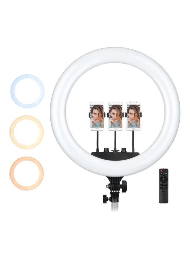 10 Inch RGB LED Ringlight (Without Stand)