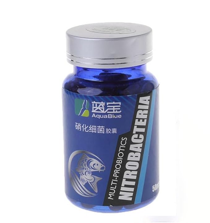 Nitrifying Bacteria Decompose Fish Tank Sediments Quickly Transform Ammonia Phosphate Fish Tank