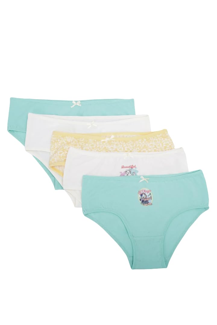 CARINA Womens Pack of 5 Colored Brief Panties Briefs (pack of 5)