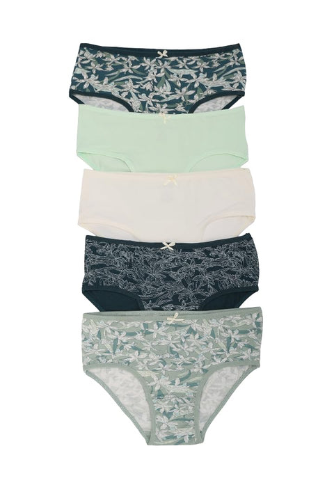 CARINA Womens Pack of 5 Colored Brief Panties Underwear