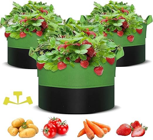 Potato Grow Bags,10 Gallon Fabric Plant Pots with Handles,Nonwoven Fabric Vegetable Grow Bags for Potato, Tomato, Flowers and Fruits(3 Pack)