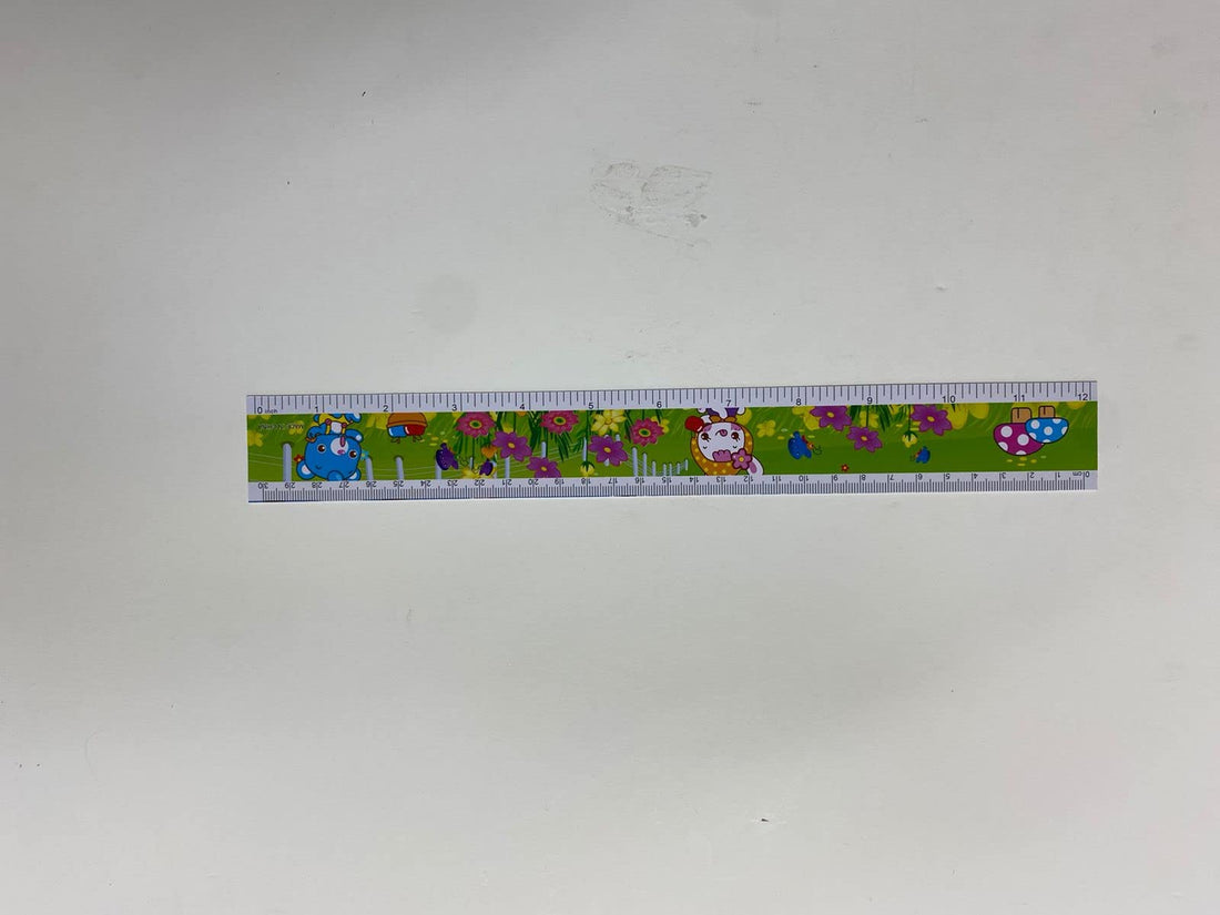 china Ruler plastic flexible g-3033