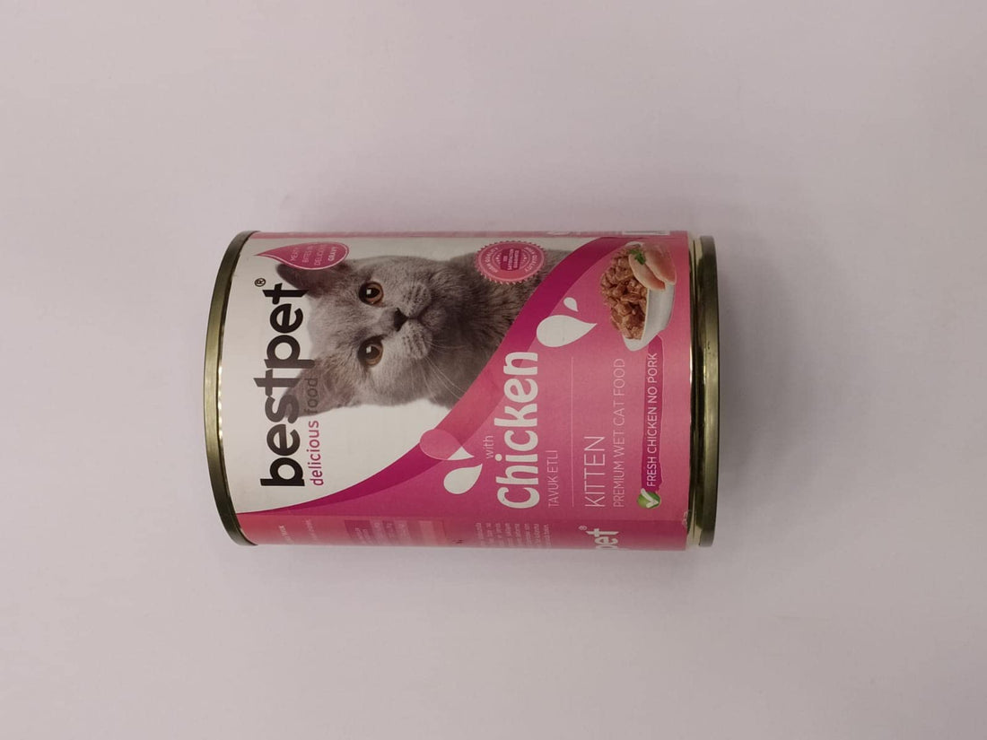 best be wet food for adult cat with chicken