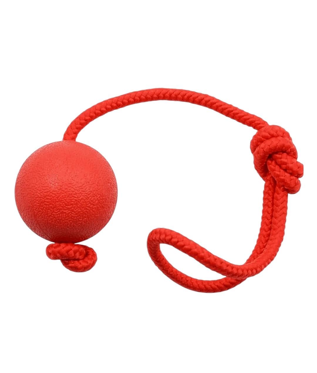 Solid Rubber Ball Dog Toy With Durable Throwing Rope - Dogs Balls Chew Toys Interactive Bite Resistant Safe with for Outdoor Training and Exercise Fetch Catch Throw Tug of War Accessories (Small)