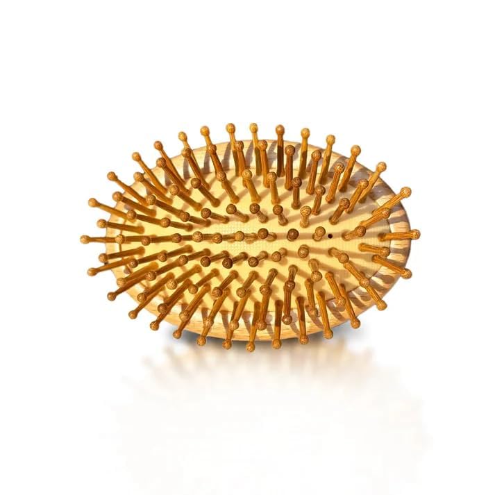 Bamboo Hair Brush | Hair Brush for Kids & Women Travel Hairbrush | Bamboo Mini Hair Brush | Small Round Pocket Comb and Wooden Hair Brush
