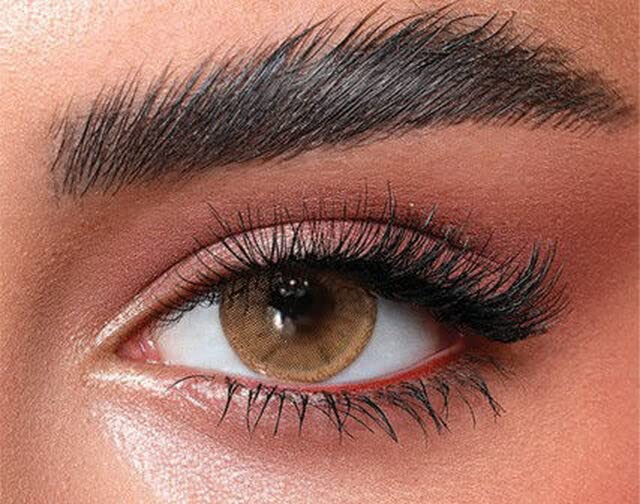 Bella Colored Lenses - Daily - Hazel Beige -4.00