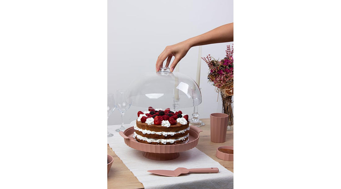 Free Cook Calcium Cake Holder with Knife, OKY-171-Multicolor