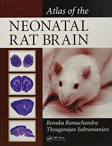 Atlas of the Neonatal Rat Brain