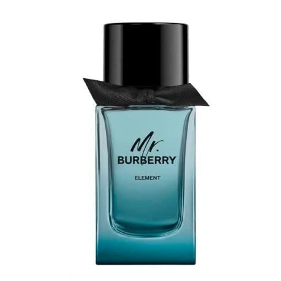 Burberry Mr. Burberry Element Eau de Toilette 100 ml