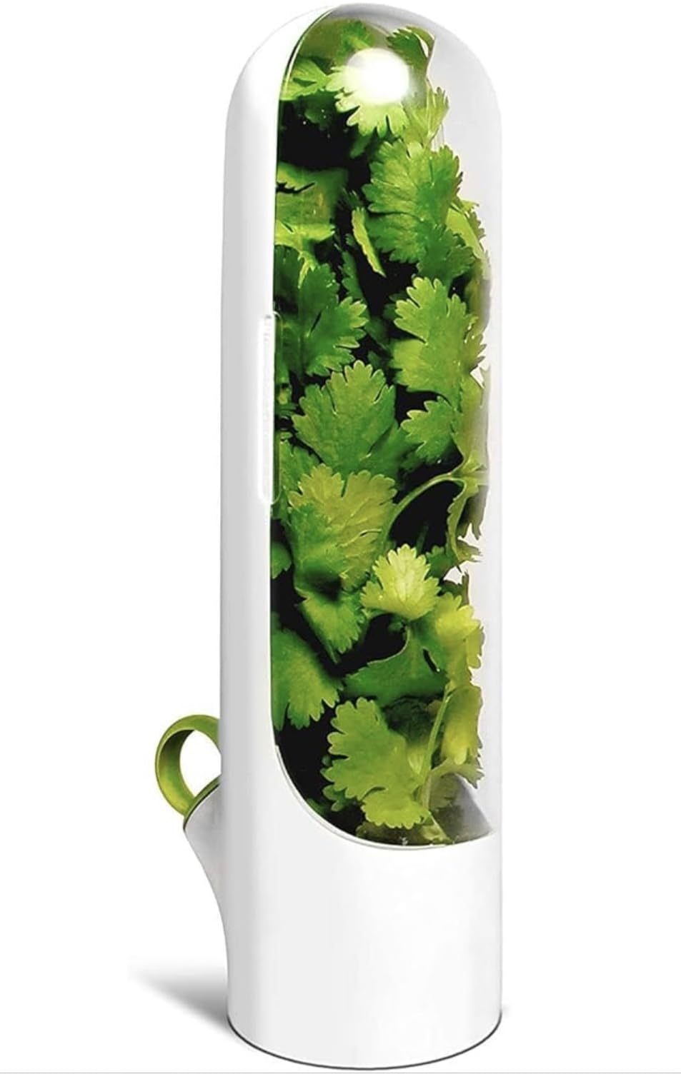 Downtown Fresh Herb Saver Refrigerator Container, Clear Herb Holder for Kitchen Storage, Specialized Water Reservoir Cup for Keeping Parsley, Cilantro and Mint Fresh for Longer