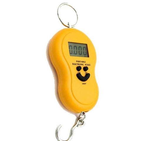50Kg/10g Portable LCD Display Luggage Fishing Hook Electronic Weight Digital Scale Pocket Weighing Hanging Scale
