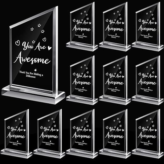 SM4U 'You Are Awesome' Acrylic Award Plaques, Appreciation Trophies for Employees, Teachers, Volunteers, and Team Members, Set of 12